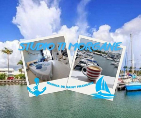 Ti Morgane, marina st francois